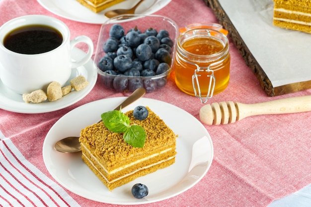 Hausgemachter Honigkuchen Honigkuchen Medovik Schichtkuchen auf weißem Teller Detailansicht