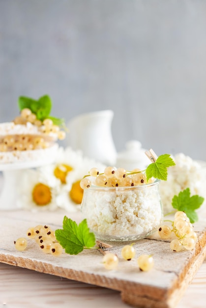 Hausgemachter Hüttenkäse und reife weiße Johannisbeeren Gesundes Frühstück