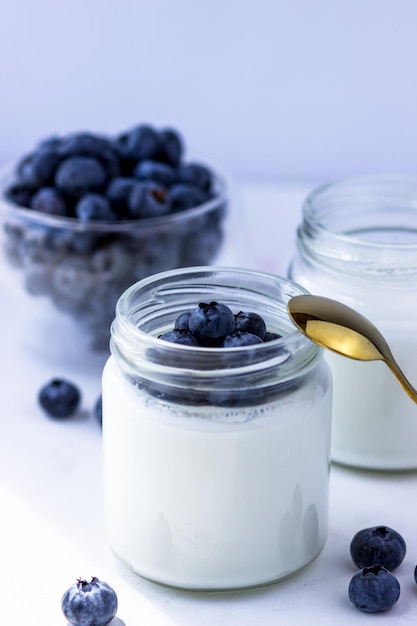 Hausgemachter Joghurt mit Heidelbeeren Joghurt in Gläsern auf weißem Hintergrund