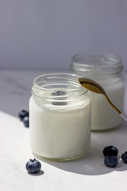 Hausgemachter Joghurt mit Heidelbeeren Joghurt in Gläsern auf weißem Hintergrund