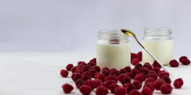 Hausgemachter Joghurt mit Himbeeren Joghurtgläser umgeben von Himbeeren Platz für Text