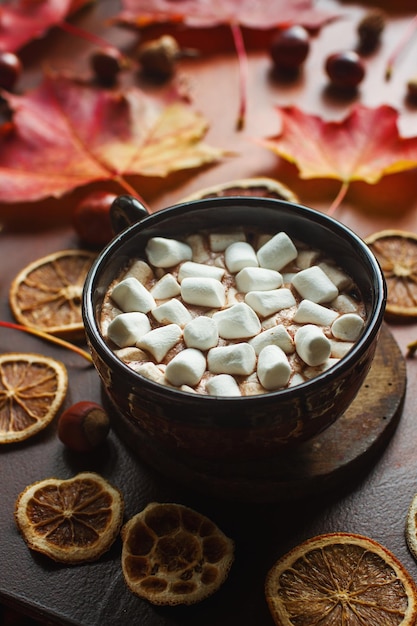 Hausgemachter Kakao mit Marshmallows, Gewürzen, Herbstlaub und Kastanien, gemütliches Herbststillleben, Herbststimmungskonzept, Umarmung, Lebensstil, selektiver Fokus