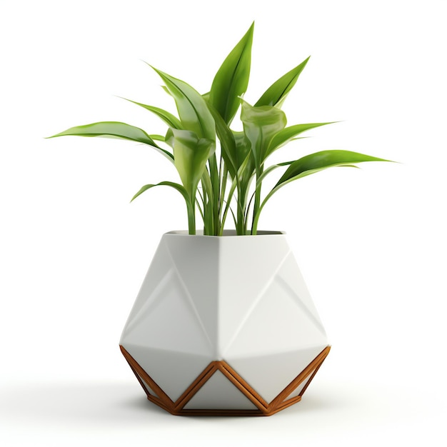 Hauspflanze in einer Vase, isoliert auf weißem Hintergrund