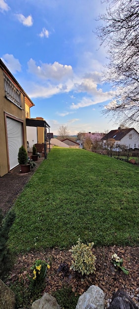 Foto hausrasenwald gegen den blauen himmel