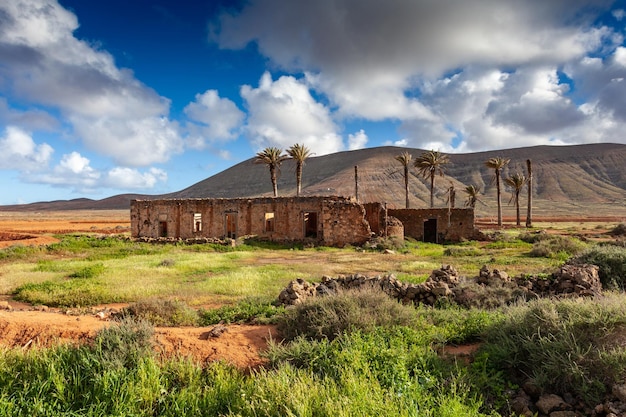 Hausruinen im grünen Feld von La Oliva, Fuerteventura