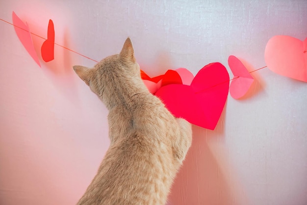 Haustiere warten zusammen mit Menschen auf den Feiertag der Liebe