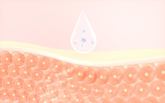 Hautzellen absorbieren das 3D-Rendering des Serums