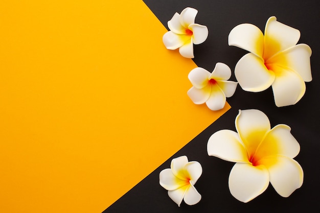 Hawaiianische Blumen auf schwarzem und gelbem Hintergrund mit Platz für Text