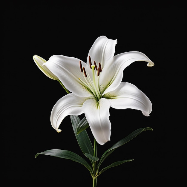 Foto hay una flor blanca que está en un tallo en un jarrón generativo ai