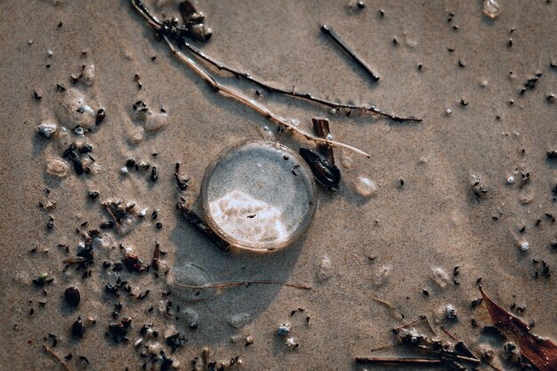 Hay una medusa transparente en la arena rodeada de ramas y piedras.