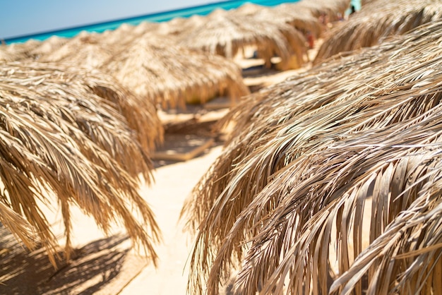 Hay muchas sombrillas en la playa paisaje de playa minimalista