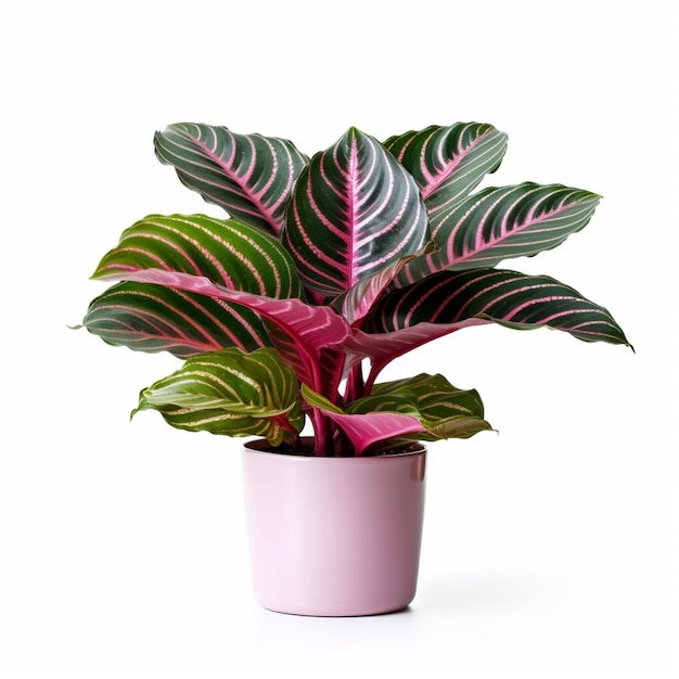 hay una olla rosa con una planta verde y rosa en ella generativo ai