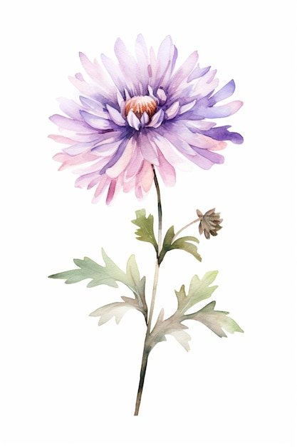 hay una pintura a la acuarela de una flor púrpura en un fondo blanco generativo ai