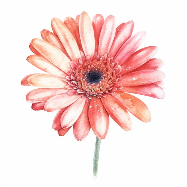 hay una pintura a la acuarela de una flor rosa en un fondo blanco generativo ai