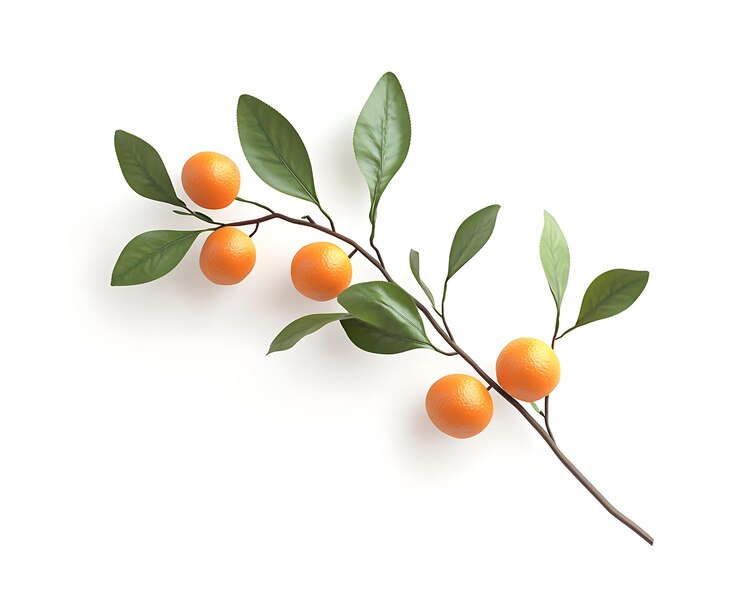 hay una rama de naranjas con hojas en ella