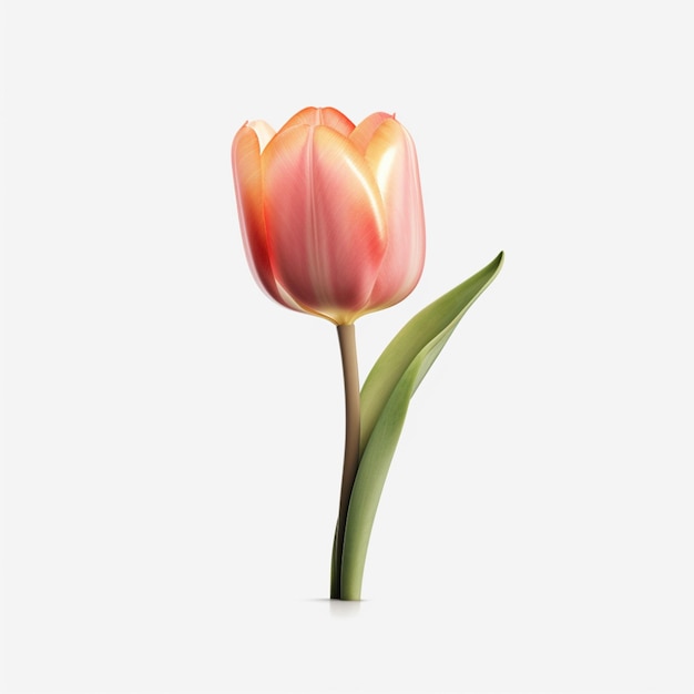 Hay un solo tulipán rosa con un ai generativo de tallo verde.