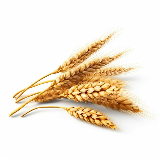 hay tres tallos de trigo sobre una superficie blanca ai generativo