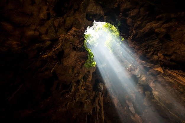 Haz desde la bodega de la cueva