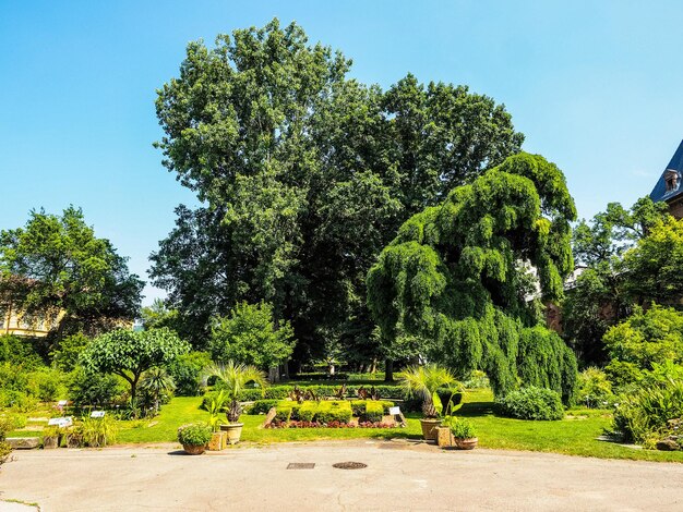 HDR Botanischer Garten in Turin