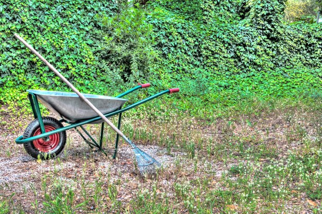 Hdr der Schubkarre in einem Garten