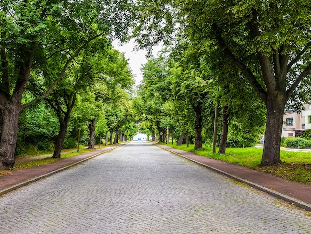 HDR Elballee en Dessau Alemania