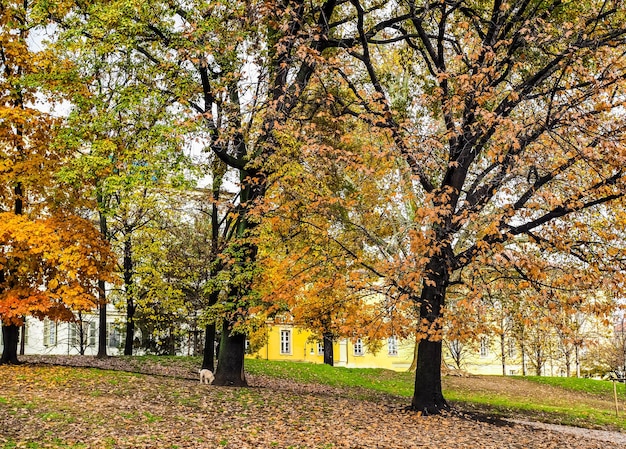 HDR Giardini Cavour in Turin