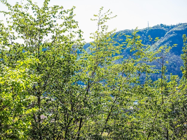 HDR-Hügel in Como Italien