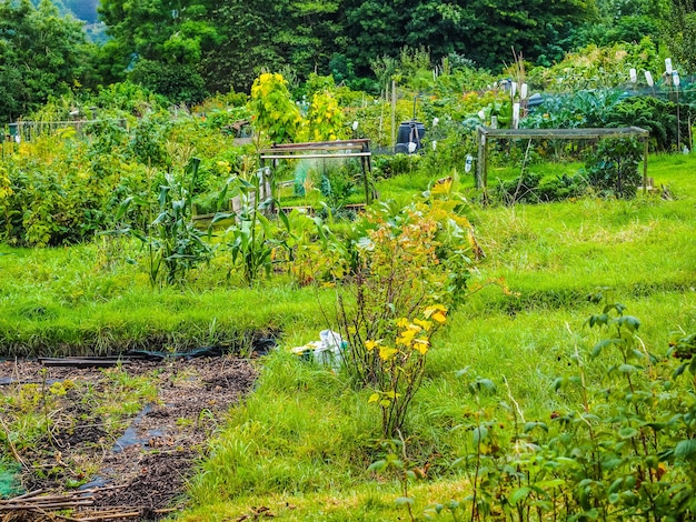 HDR Schrebergarten Gemeinschaftsgarten