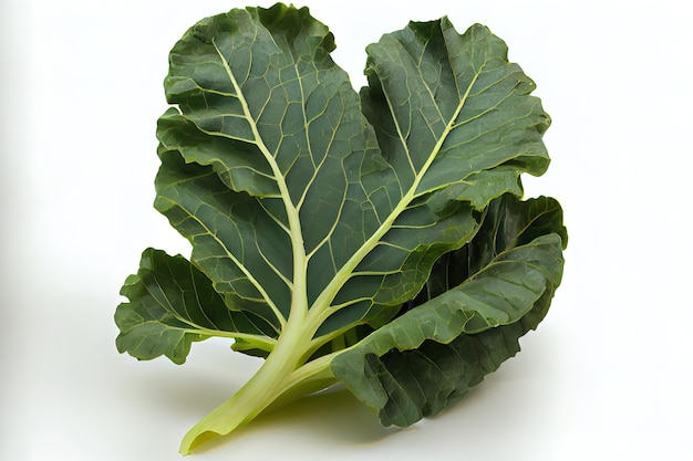 Healthy One natural Collard Greens Generative Ai