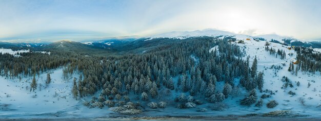 Hechizante hermoso panorama de montañas y colinas cubiertas de abetos en un día nublado de invierno