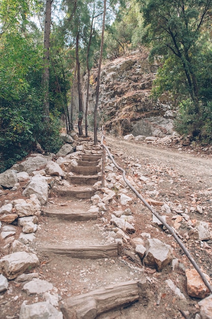 Foto hecho escaleras en el bosque