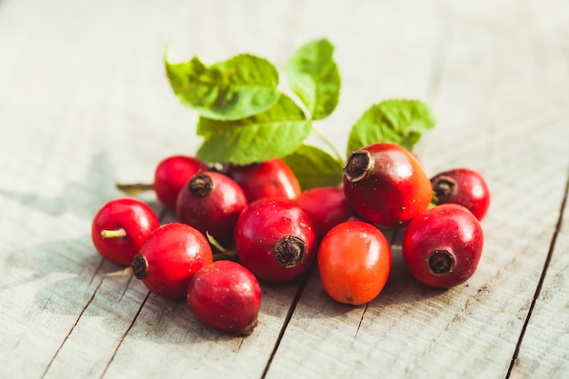 Heckenrose Früchte auf dem Holztisch hautnah