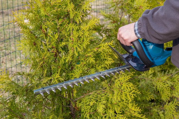 Heckenschnitt arbeitet in einem Garten