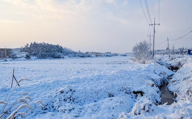 heftiger Schneefall während der Wintersaison in Gwangju, Südkorea.