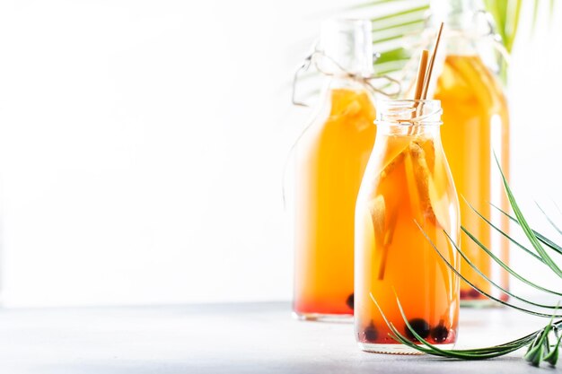 Heidelbeeren Cranberries fermentierter roher Kombucha mit Ingwer und Zitronentee trinkfertig in der Flasche mit umweltfreundlichem Stroh