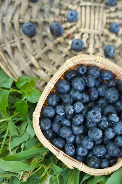 Heidelbeeren im Holzkorb auf Weidentablett auf Gras