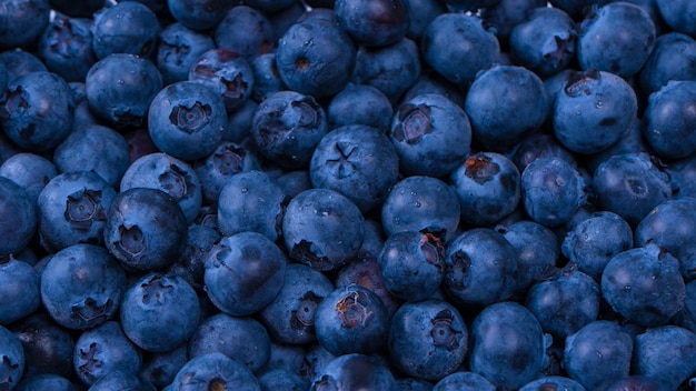 Heidelbeeren in einem Plastikbehälter isoliert auf weißem Hintergrund