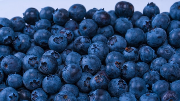 Heidelbeeren in einem Plastikbehälter isoliert auf weißem Hintergrund