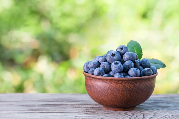 Heidelbeeren in Tonschale