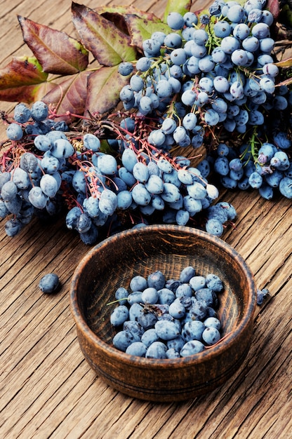 Heidelbeeren und Blätter