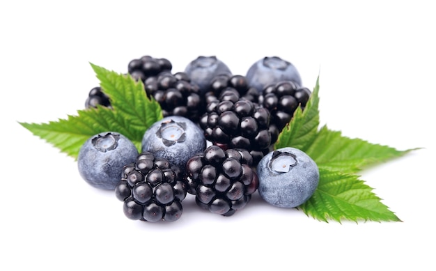 Heidelbeeren und Brombeeren mit Blättern