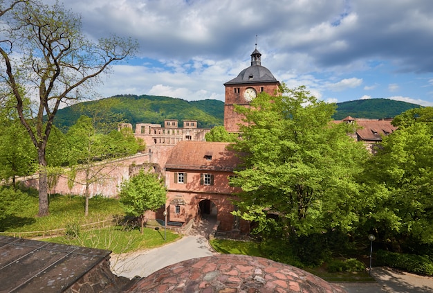 Heidelberger schloss im frühjahr