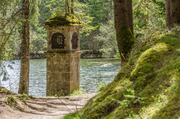 Heiliger Bestand am See