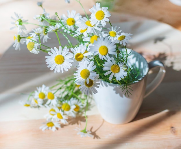 Heilkräuter der KamilleGänseblümchenblumen auf Holzhintergrund