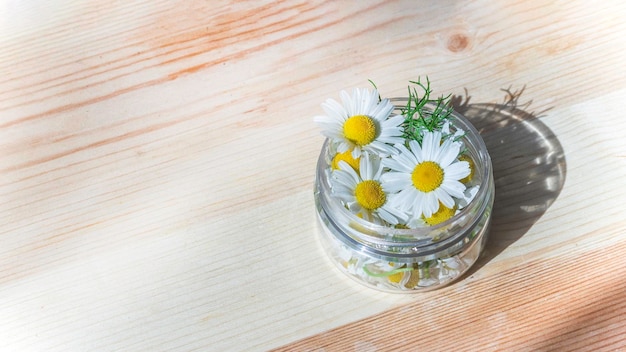 Heilkräuter der KamilleGänseblümchenblumen auf Holzhintergrund