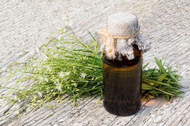 Foto heilpflanze stellaria holostea und pharmazeutische flasche