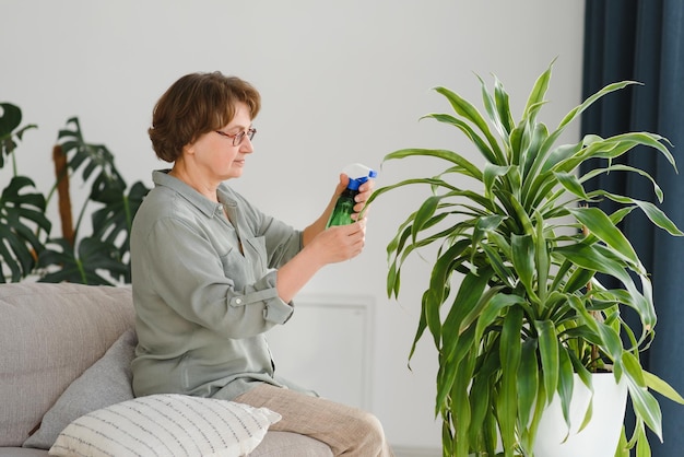 Heimpflanzen Fröhliche, glückliche Frau, die in der Nähe der Pflanze steht, während sie sie mit Wasser besprüht