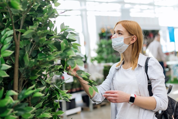 Heimpflanzen kaufen. Bäume für den Garten auswählen. eine junge Frau wählt große Laubpflanzen