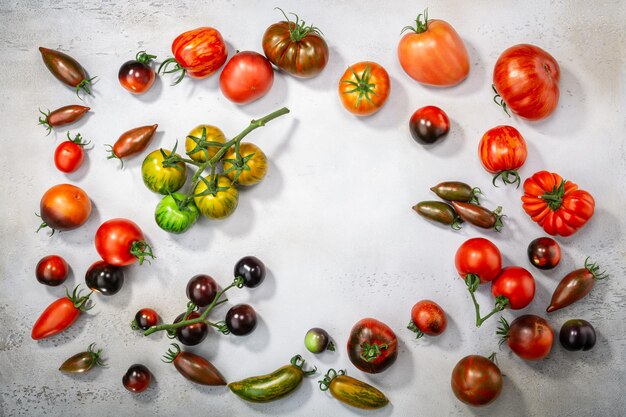 Heirloom-Tomaten auf Draufsicht des hellgrauen Betonhintergrundes