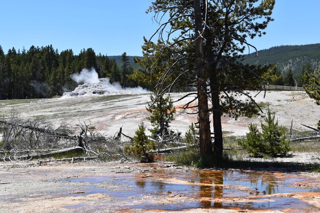 Foto heiße quellen im yellowstone nationalpark im winter